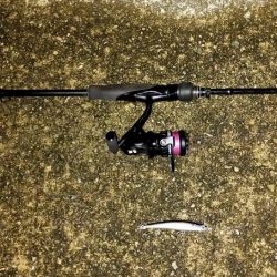 小さいけどシーバス